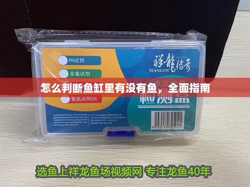 怎么判斷魚缸里有沒有魚，全面指南