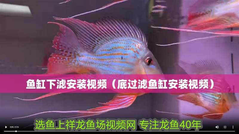魚缸下濾安裝視頻（底過濾魚缸安裝視頻） 魚缸下濾安裝視頻（底過濾魚缸安裝視頻） 全國水族館企業名錄