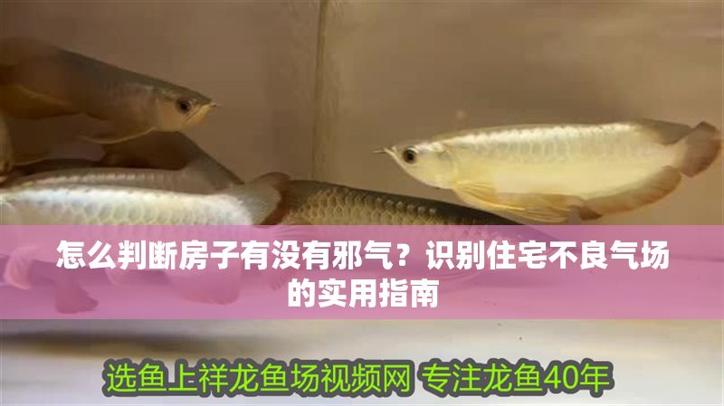 怎么判斷房子有沒有邪氣？識別住宅不良氣場的實用指南