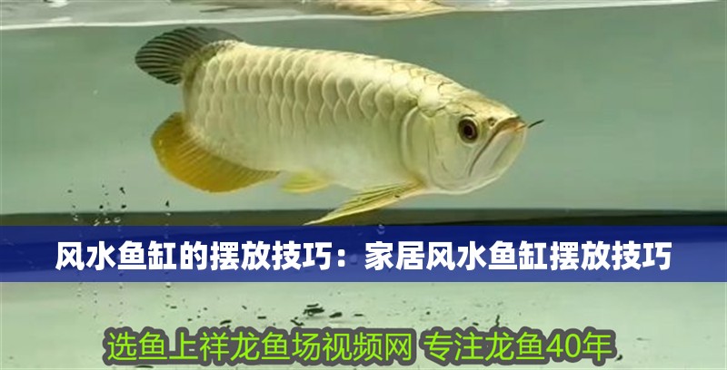 風水魚缸的擺放技巧：家居風水魚缸擺放技巧