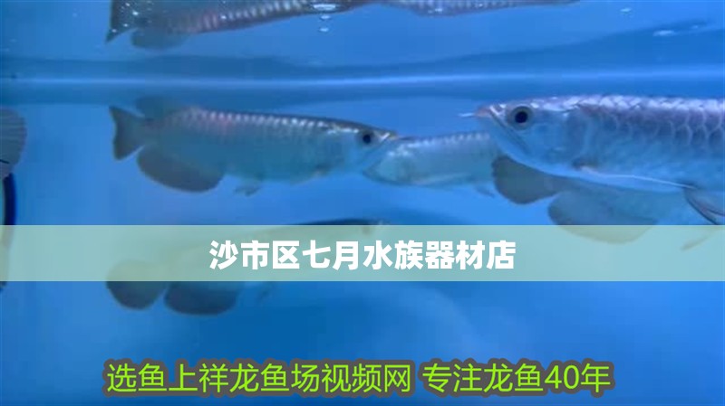 沙市區七月水族器材店