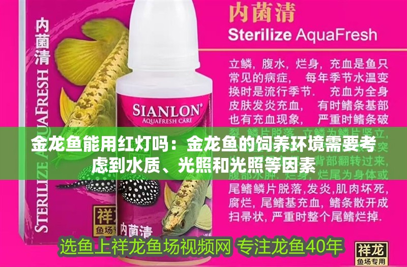 金龍魚能用紅燈嗎：金龍魚的飼養環境需要考慮到水質、光照和光照等因素