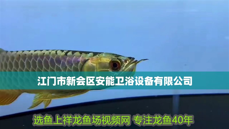 江門市新會區(qū)安能衛(wèi)浴設(shè)備有限公司