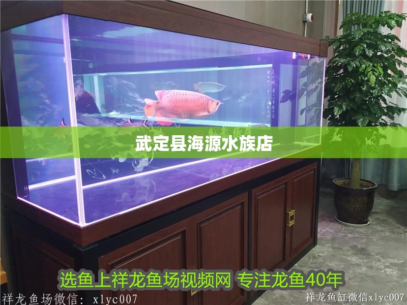 <strong><mark>武定</mark></strong>縣海源水族店