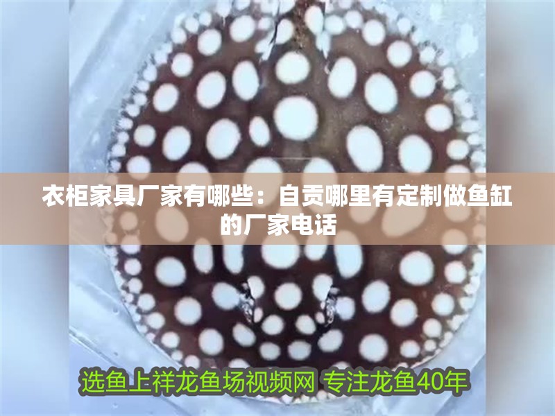 衣柜家具廠家有哪些：自貢哪里有定制做魚缸的廠家電話