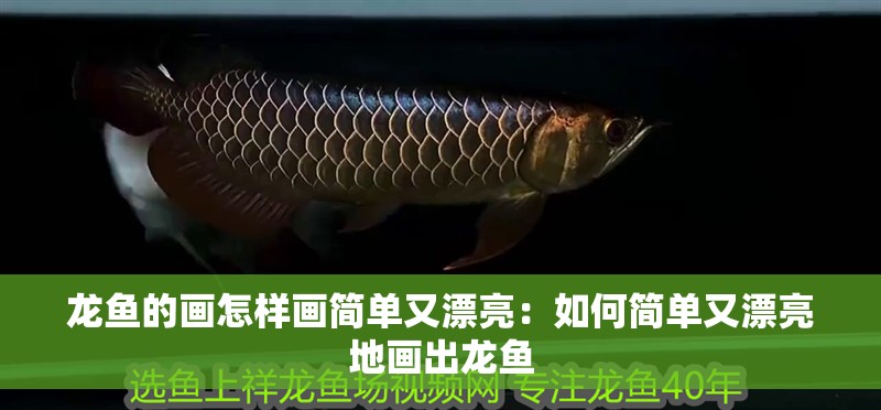 龍魚的畫怎樣畫簡單又漂亮：如何簡單又漂亮地畫出龍魚