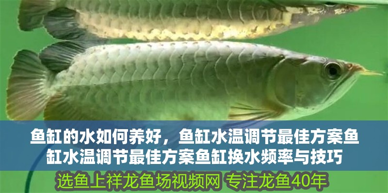 魚(yú)缸的水如何養(yǎng)好，魚(yú)缸水溫調(diào)節(jié)最佳方案魚(yú)缸水溫調(diào)節(jié)最佳方案魚(yú)缸換水頻率與技巧
