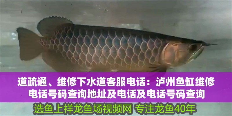 道疏通、維修下水道客服電話：瀘州魚缸維修電話號碼查詢地址及電話及電話號碼查詢