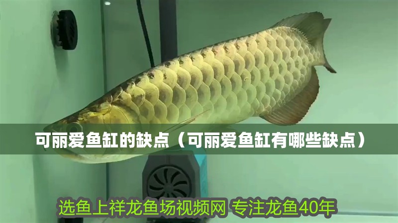 可麗愛魚缸的缺點（可麗愛魚缸有哪些缺點）