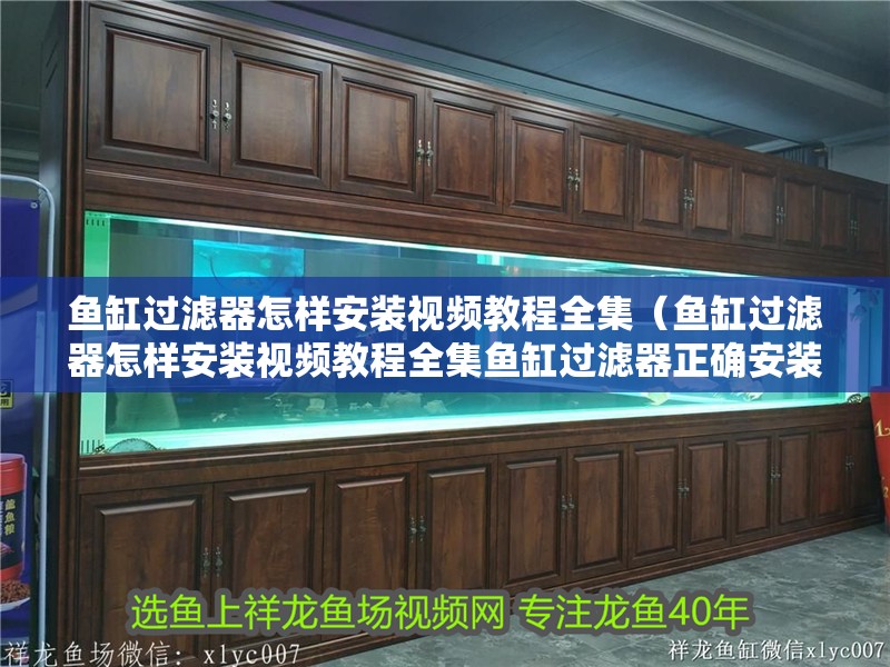 魚缸過濾器怎樣安裝視頻教程全集（魚缸過濾器怎樣安裝視頻教程全集魚缸過濾器正確安裝）