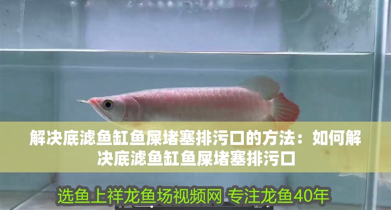 解決底濾魚缸魚屎堵塞排污口的方法：如何解決底濾魚缸魚屎堵塞排污口