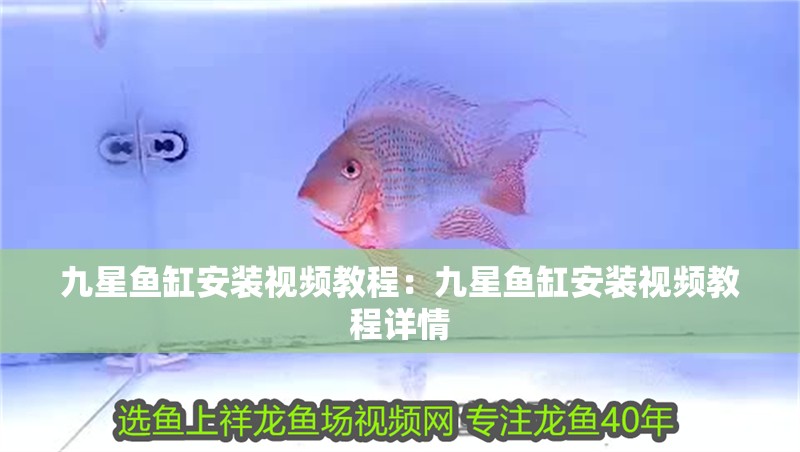 九星魚缸安裝視頻教程：九星魚缸安裝視頻教程詳情