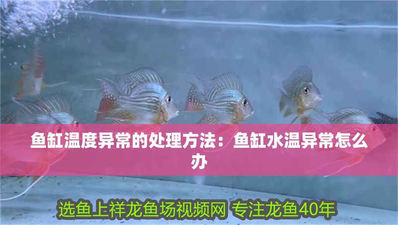 魚缸溫度異常的處理方法：魚缸水溫異常怎么辦