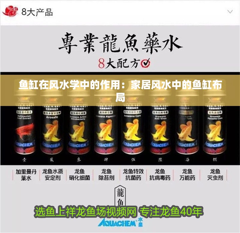 魚缸在風水學中的作用：家居風水中的魚缸布局