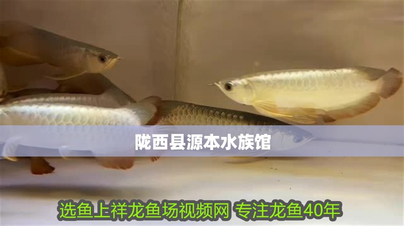 隴西縣源本水族館