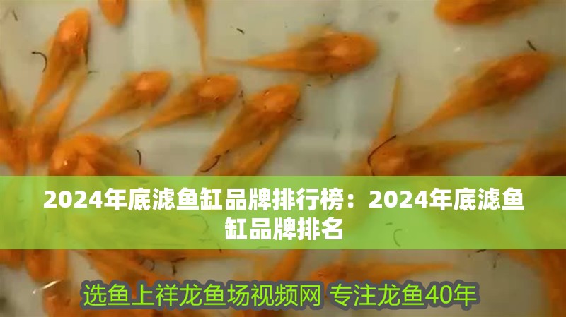2024年底濾魚(yú)缸品牌排行榜：2024年底濾魚(yú)缸品牌排名