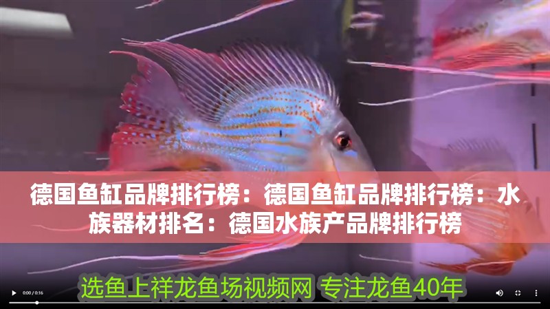 德國魚缸品牌排行榜：德國魚缸品牌排行榜：水族器材排名：德國水族產品牌排行榜