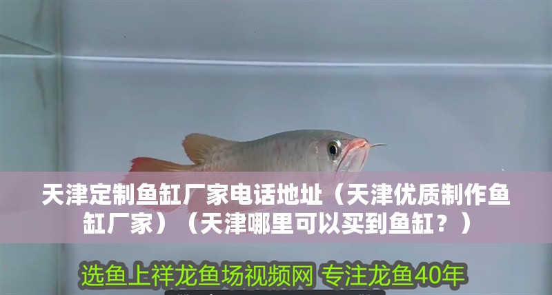 天津定制魚缸廠家電話地址（天津優質制作魚缸廠家）（天津哪里可以買到魚缸？）