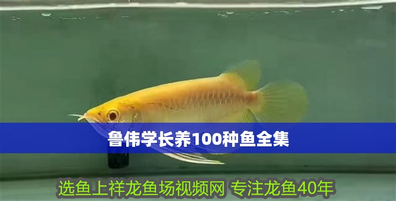 魯偉學長養100種魚全集