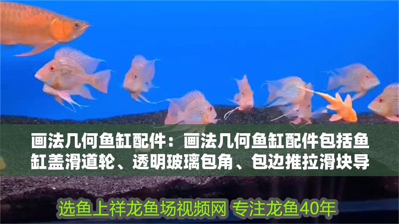 畫法幾何魚缸配件：畫法幾何魚缸配件包括魚缸蓋滑道輪、透明玻璃包角、包邊推拉滑塊導(dǎo)軌、直角滾輪等