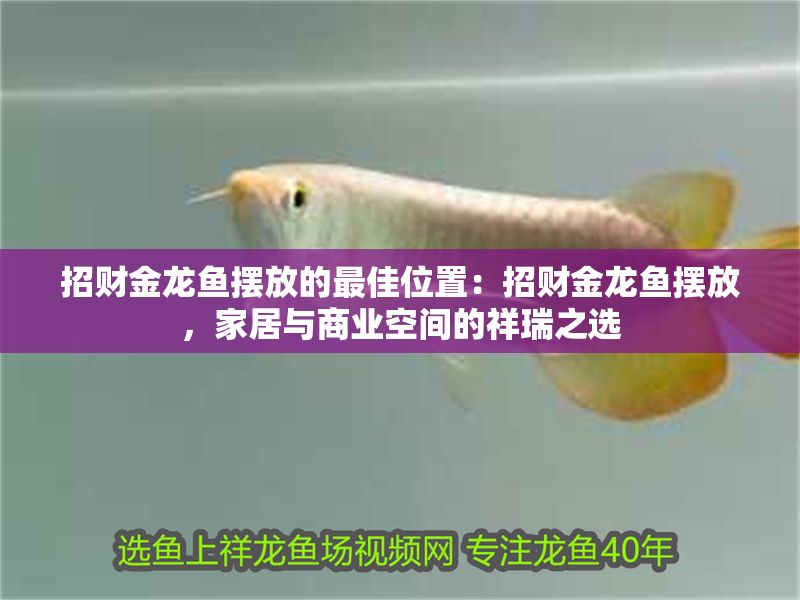 招財金龍魚擺放的最佳位置：招財金龍魚擺放，家居與商業空間的祥瑞之選