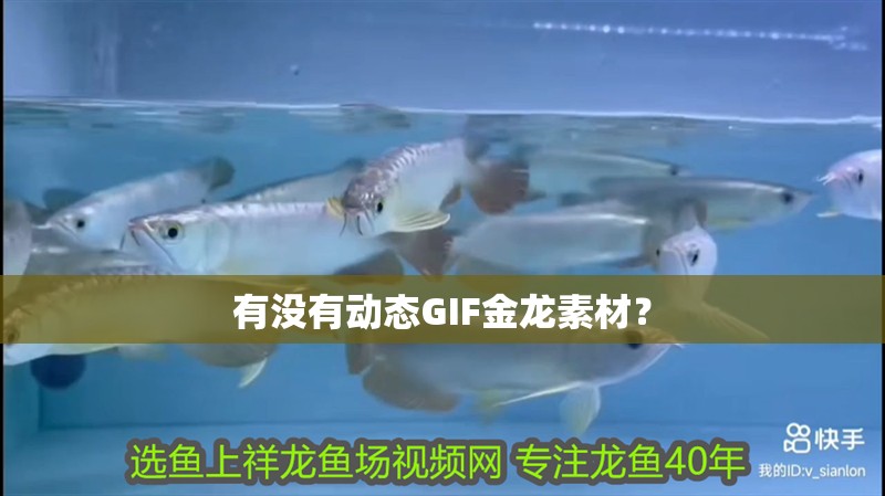 有沒有動(dòng)態(tài)GIF金龍素材？