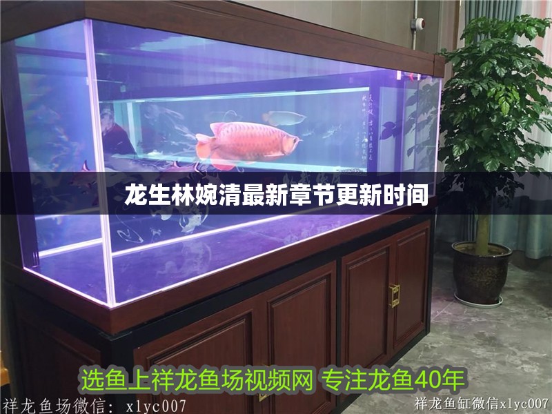 龍生林婉清最新章節更新時間