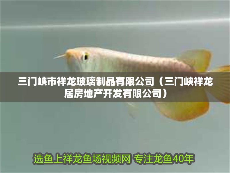三門峽市祥龍玻璃制品有限公司（三門峽祥龍居房地產開發有限公司）