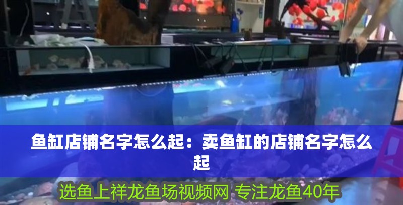 魚缸店鋪名字怎么起：賣魚缸的店鋪名字怎么起