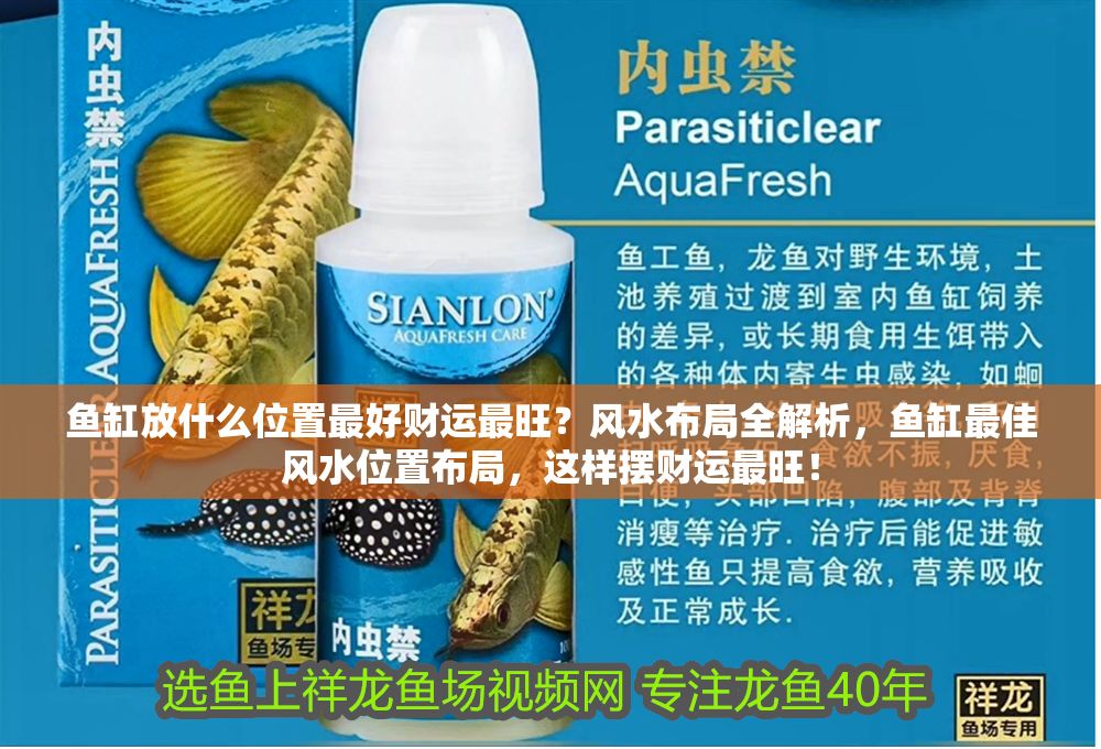 魚缸放什么位置最好財運最旺？風水布局全解析，魚缸最佳風水位置布局，這樣擺財運最旺！