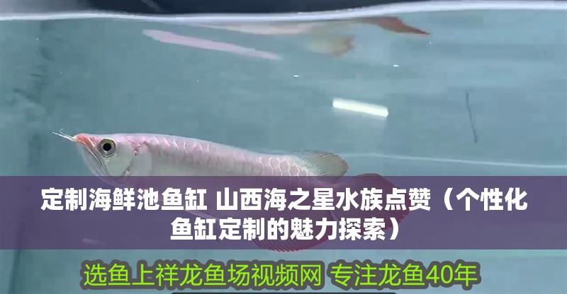 定制海鮮池魚缸 <strong><mark>山西</mark></strong>海之星水族點贊（個性化魚缸定制的魅力探索）