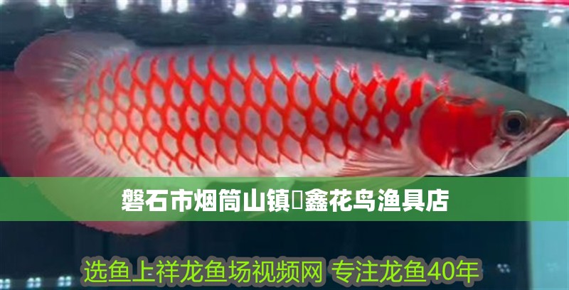 磐石市煙筒山鎮垚鑫花鳥漁具店