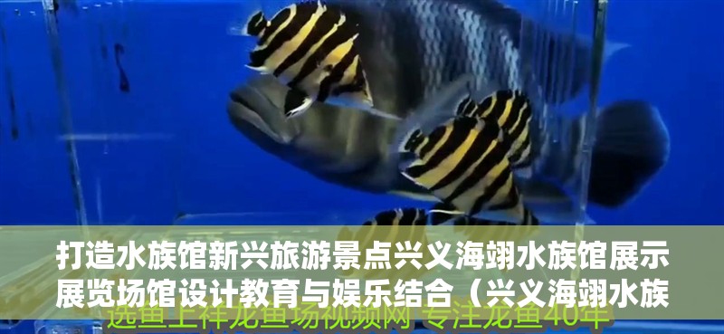 打造水族館新興旅游景點(diǎn)興義海翊水族館展示展覽場(chǎng)館設(shè)計(jì)教育與娛樂(lè)結(jié)合（興義海翊水族館展示展覽場(chǎng)館設(shè)計(jì)教育與娛樂(lè)結(jié)合）