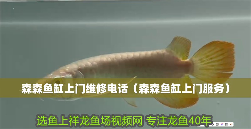 森森魚缸上門維修電話（森森魚缸上門服務）