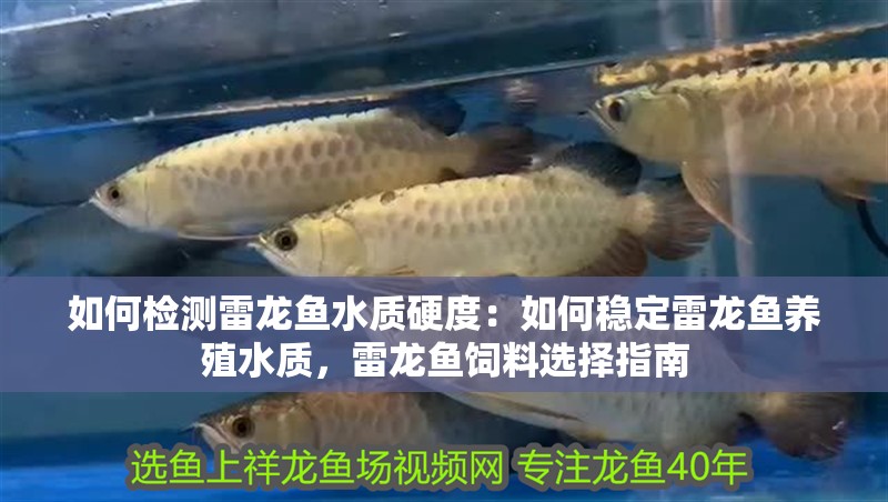 如何檢測雷龍魚水質硬度：如何穩定雷龍魚養殖水質，雷龍魚飼料選擇指南