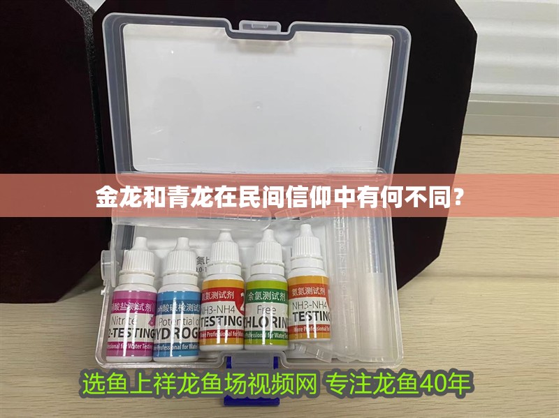 金龍和青龍在民間信仰中有何不同？