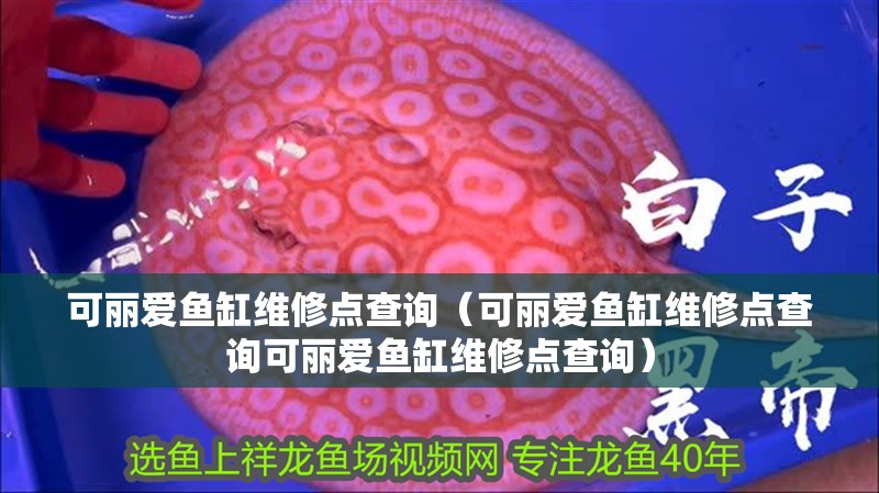 可麗愛魚缸維修點查詢（可麗愛魚缸維修點查詢可麗愛魚缸維修點查詢） 可麗愛魚缸維修點查詢（可麗愛魚缸維修點查詢可麗愛魚缸維修點查詢） 魚缸百科