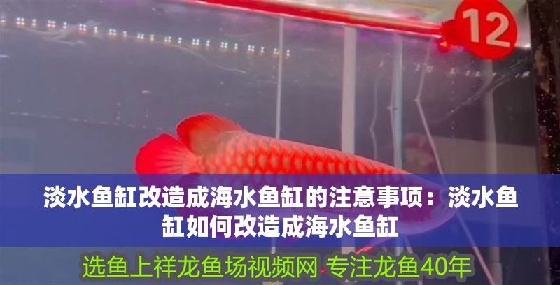 淡水魚缸改造成海水魚缸的注意事項(xiàng)：淡水魚缸如何改造成海水魚缸 淡水魚缸改造成海水魚缸的注意事項(xiàng)：淡水魚缸如何改造成海水魚缸 魚缸百科