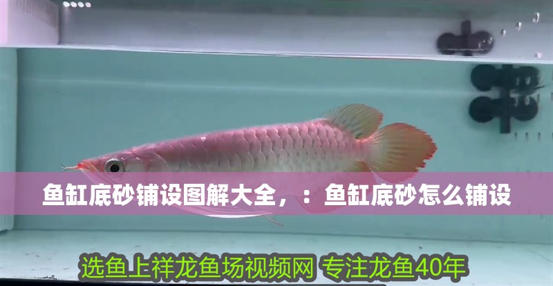 魚缸底砂鋪設圖解大全，：魚缸底砂怎么鋪設