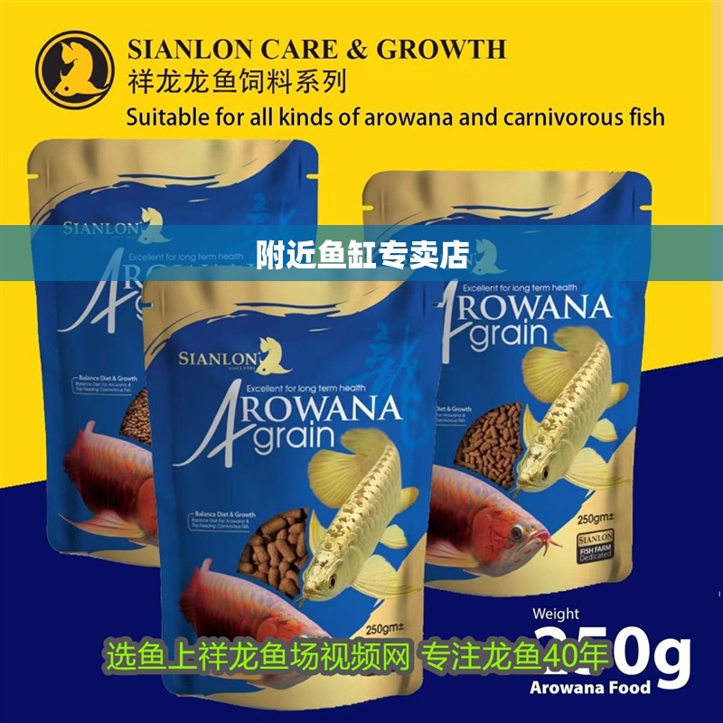 附近魚缸專賣店