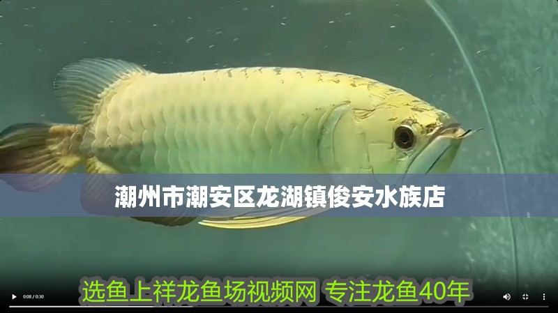 潮州市<strong><mark>潮安</mark></strong>區龍湖鎮俊安水族店