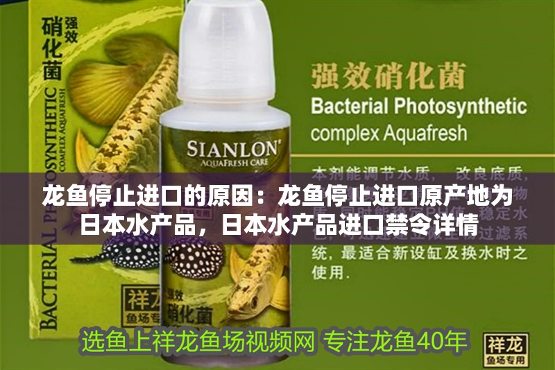 龍魚停止進口的原因：龍魚停止進口原產地為日本水產品，日本水產品進口禁令詳情