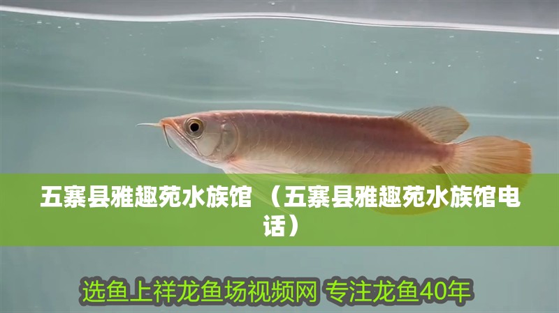五寨縣雅趣苑水族館 （五寨縣雅趣苑水族館電話）