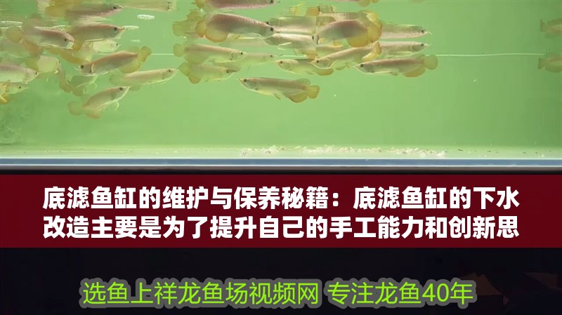 底濾魚缸的維護與保養(yǎng)秘籍：底濾魚缸的下水改造主要是為了提升自己的手工能力和創(chuàng)新思維