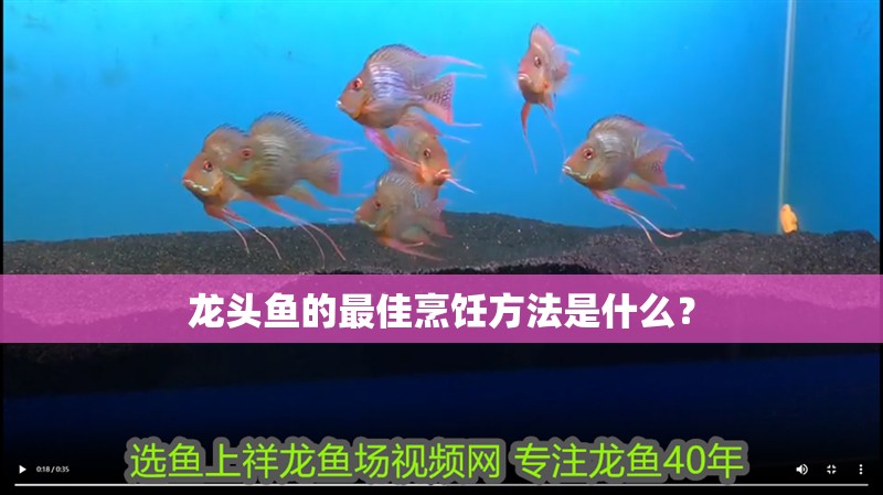 龍頭魚的最佳烹飪方法是什么？