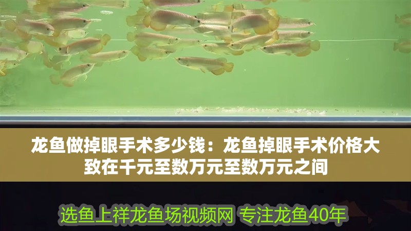 龍魚做掉眼手術(shù)多少錢：龍魚掉眼手術(shù)價格大致在千元至數(shù)萬元至數(shù)萬元之間