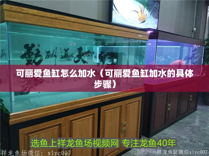 可麗愛魚缸怎么加水（可麗愛魚缸加水的具體步驟）