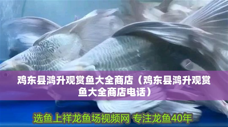 雞東縣鴻升觀賞魚大全商店（雞東縣鴻升觀賞魚大全商店電話）