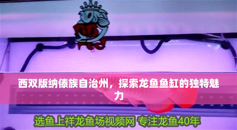 西雙版納傣族自治州，探索龍魚魚缸的獨特魅力