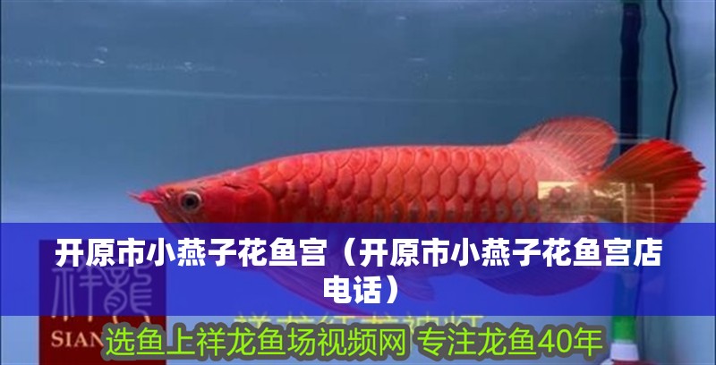 開原市小燕子花魚宮（開原市小燕子花魚宮店電話）